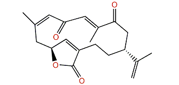 Isoepilophodione A